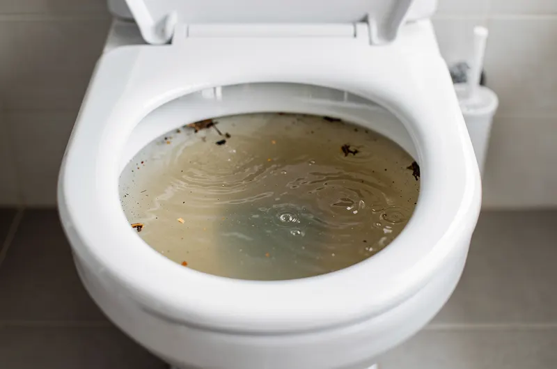 Vaso sanitário entupido com nível de água alto