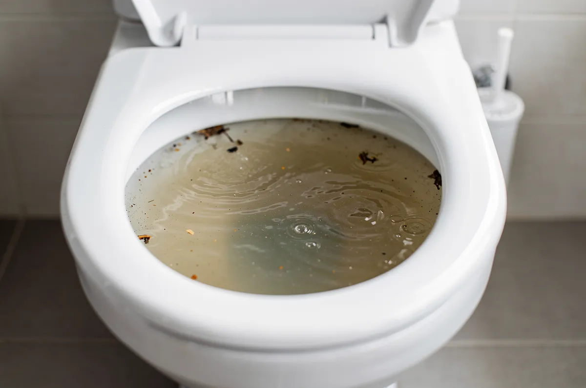 Vaso sanitário entupido com nível de água alto